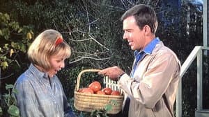Sam the Expert Farmer