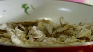 Episode 30