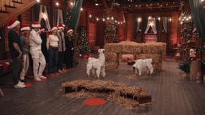 Episode 17