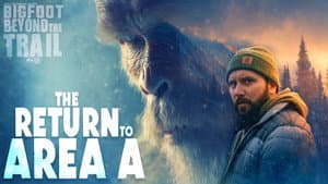 The Return to Area A