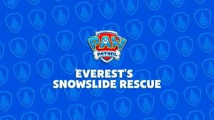 Everest's Snowslide Rescue