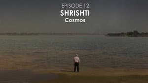 Cosmos