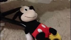 Small Mickey Mouse