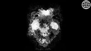 Anomalies du Web (Vol. 3) - Findings N°112