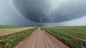 Tornado Alley Weed Farm