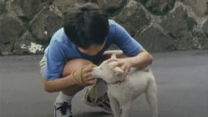 The Dogs Have A Time Bomb