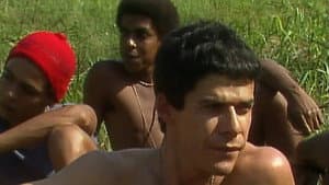 1977: The Organization - Part 2