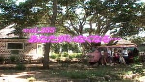 Episode 255