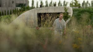 Lamplighters
