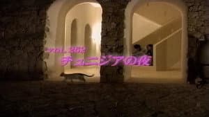 Episode 262