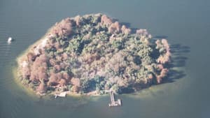Disney's Discovery Island