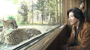 I love animals! Captain Takuya, go to the zoo!