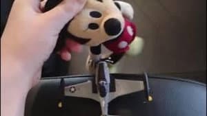 The Plane
