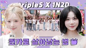 tripleS: How to Survive as a Queen Card (EP. 66)