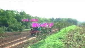 Episode 305