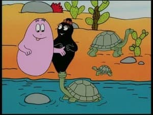 Galapagos - Giant Turtle
