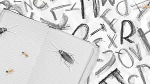 Insecticide