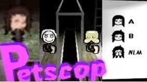 Le jeu vidéo hanté qui refait surface - Petscop - findings N°4