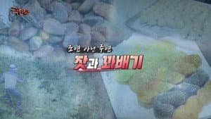 Episode 1206