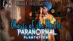 The Mama B. Investigation part 2