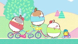 The Bicycle Ride