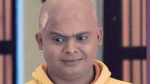 Kapi Goes Bald?