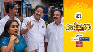 The Elections - Part 4