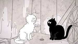 Catnip Trip