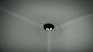Interior Cobwebs