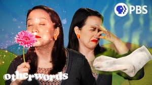 Why Are There So Few Words for Smells?