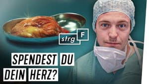 Episode 77