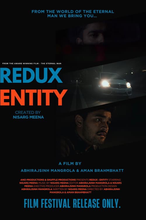 Redux entity