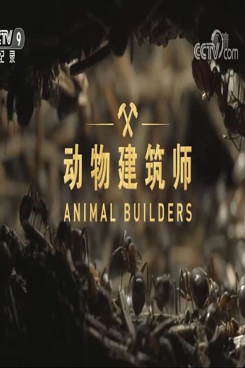 动物建筑师