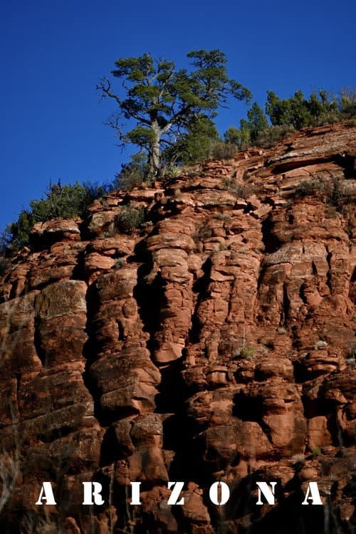 Arizona