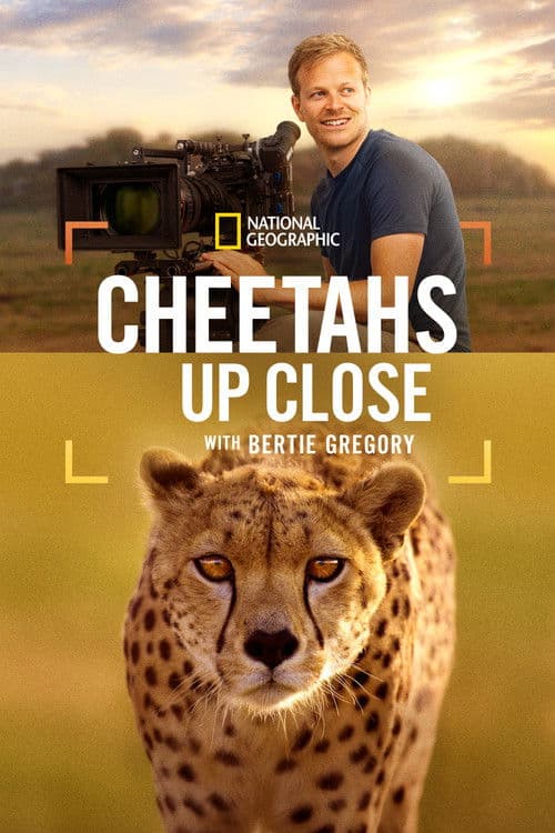 Cheetahs Up Close with Bertie Gregory