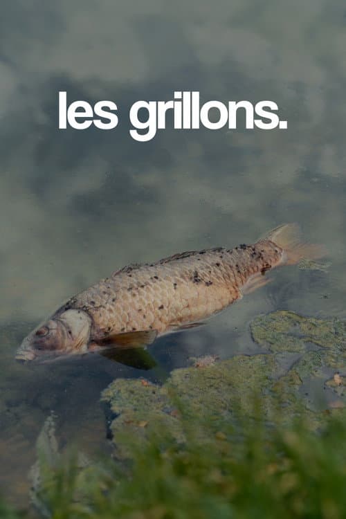 les grillons.